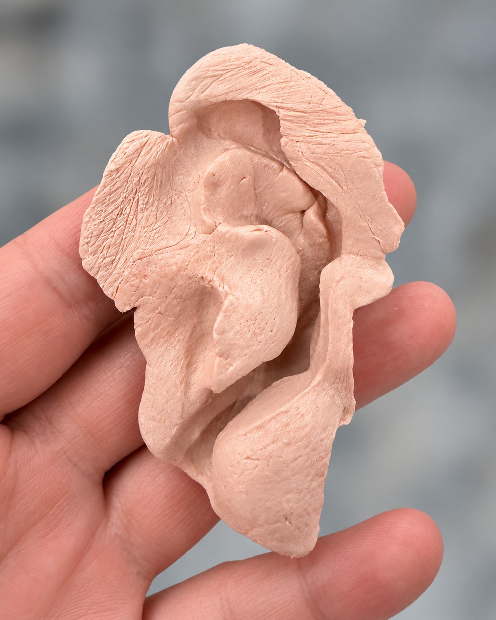 Detailed BolusCare impression of an ear, showing precise adaptation down to individual hair structure